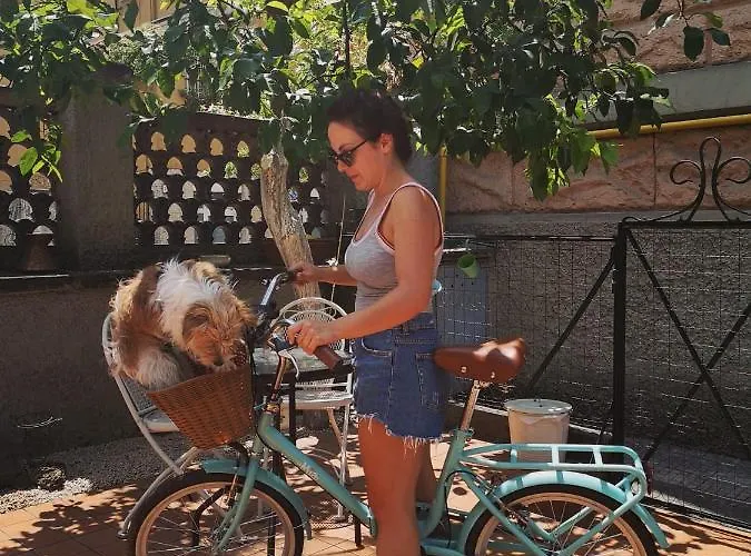 B&B Relais Fiorelli 로마