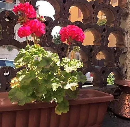 Bed and Breakfast Relais Fiorelli 4*