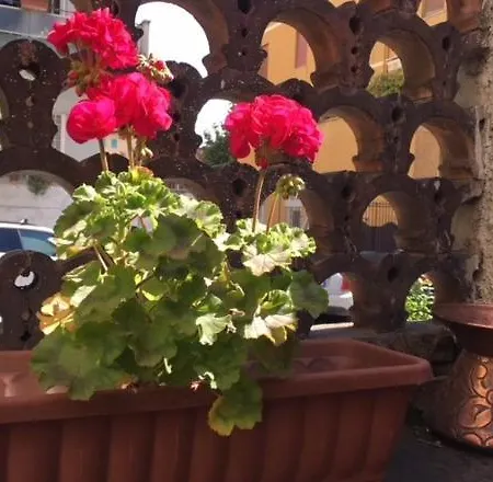 Bed & Breakfast Relais Fiorelli